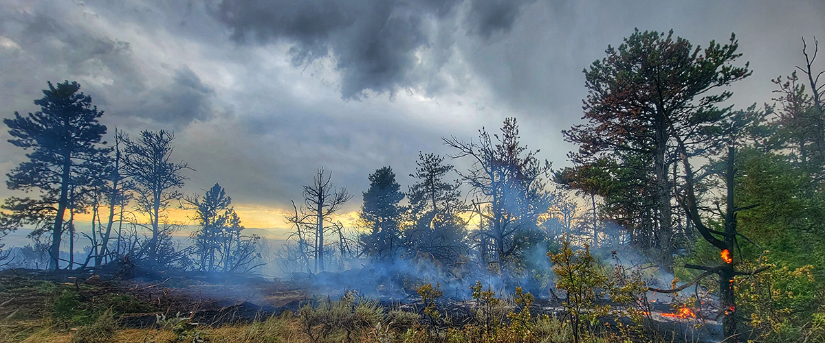 fire in remote location